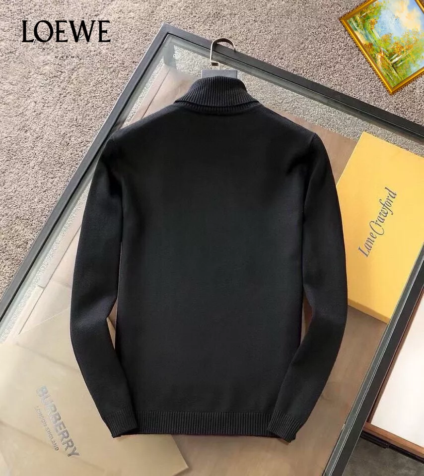 loewe sweaters manches longues pour homme s_12774a61